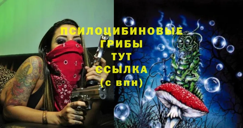 Псилоцибиновые грибы Magic Shrooms  Боровичи 